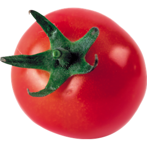 Tomato PNG-12522